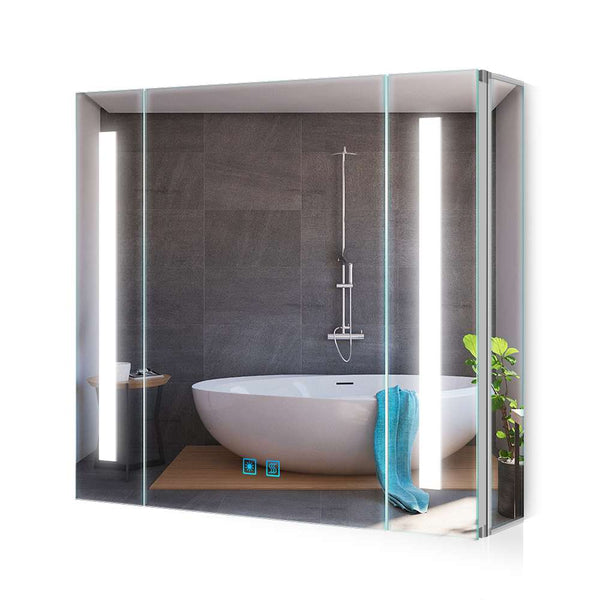 LED Badezimmer Spiegelschrank mit Rasier-Steckdose Touch-Schalter Vertikales Beleuchtung 65x60cm