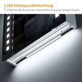 LED Badezimmer Spiegelschrank mit Steckdose Antibeschlag IR-Schalter 65x60cm